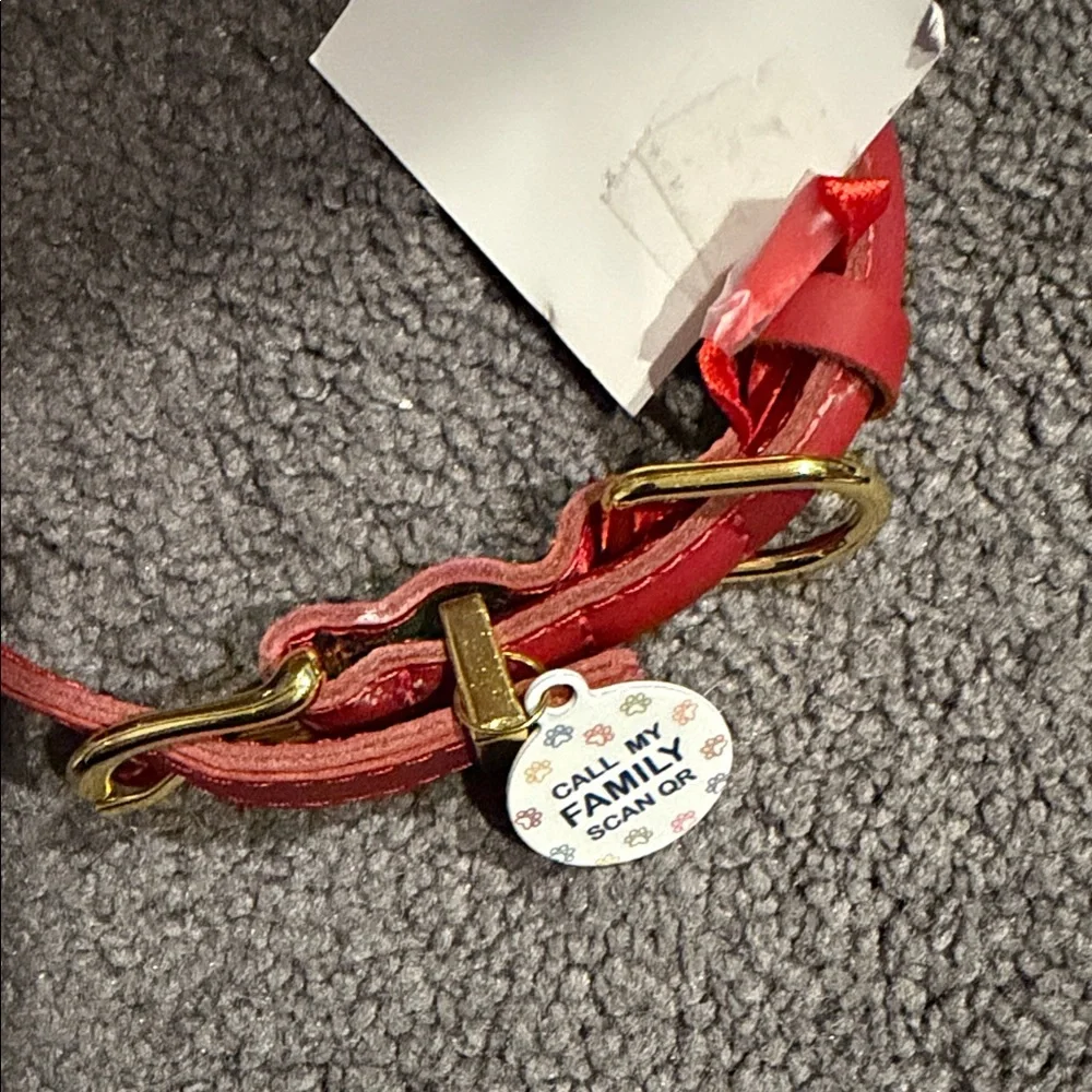 Red Leather Dog Collar with Gold Buckle with Activate QR ID tag